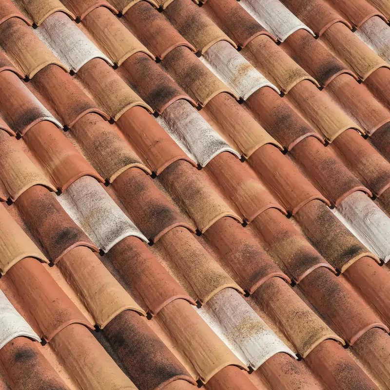 Țigla ceramică Coppo Domus de la BMI Braas rinascimento